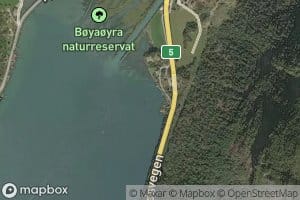 Stolaviki