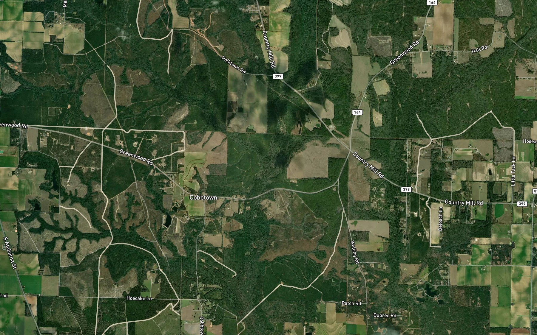 Satellite map of the Cobb Branch
