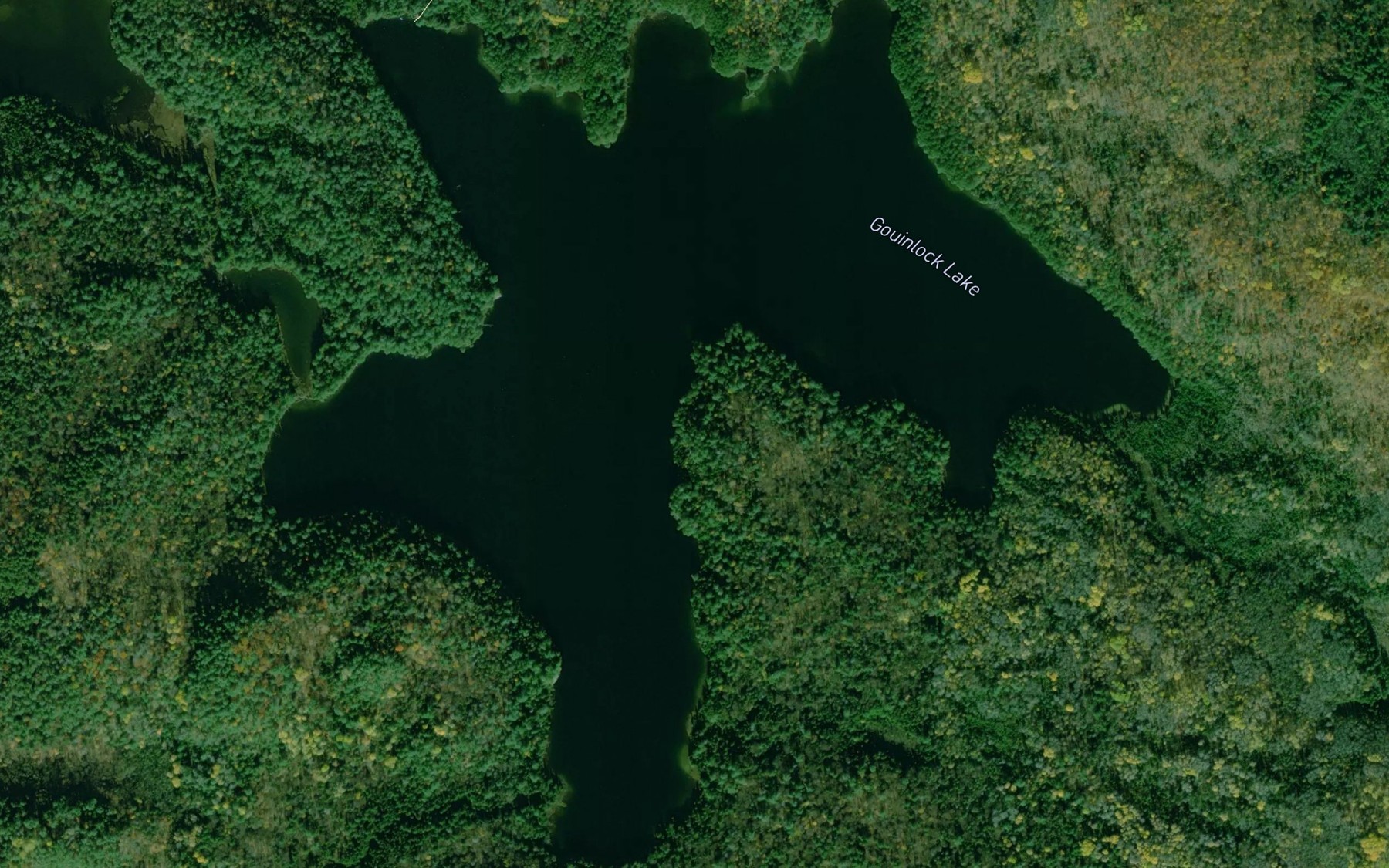 Satellite map of the Gouinlock Lake