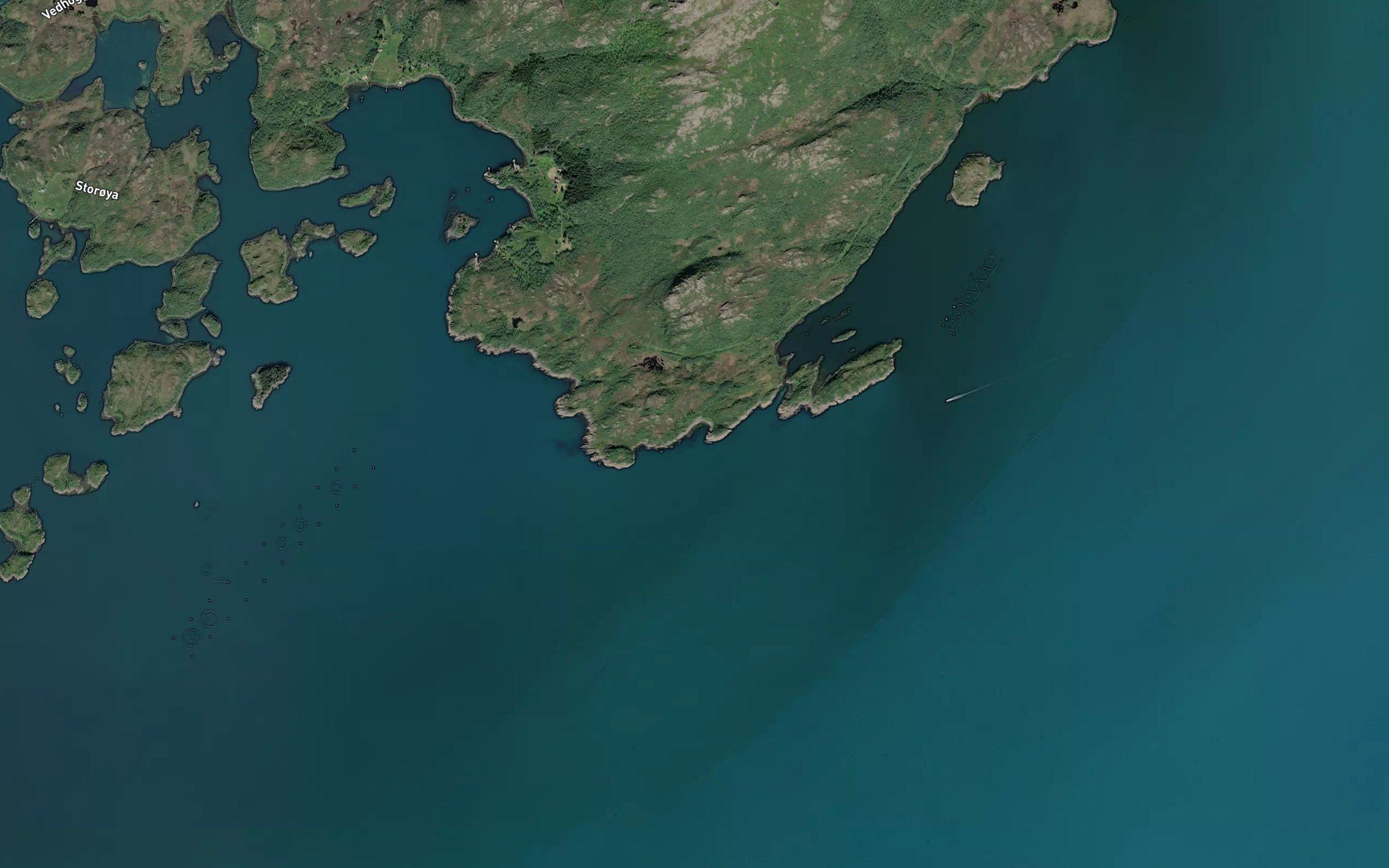 Gronnbukta