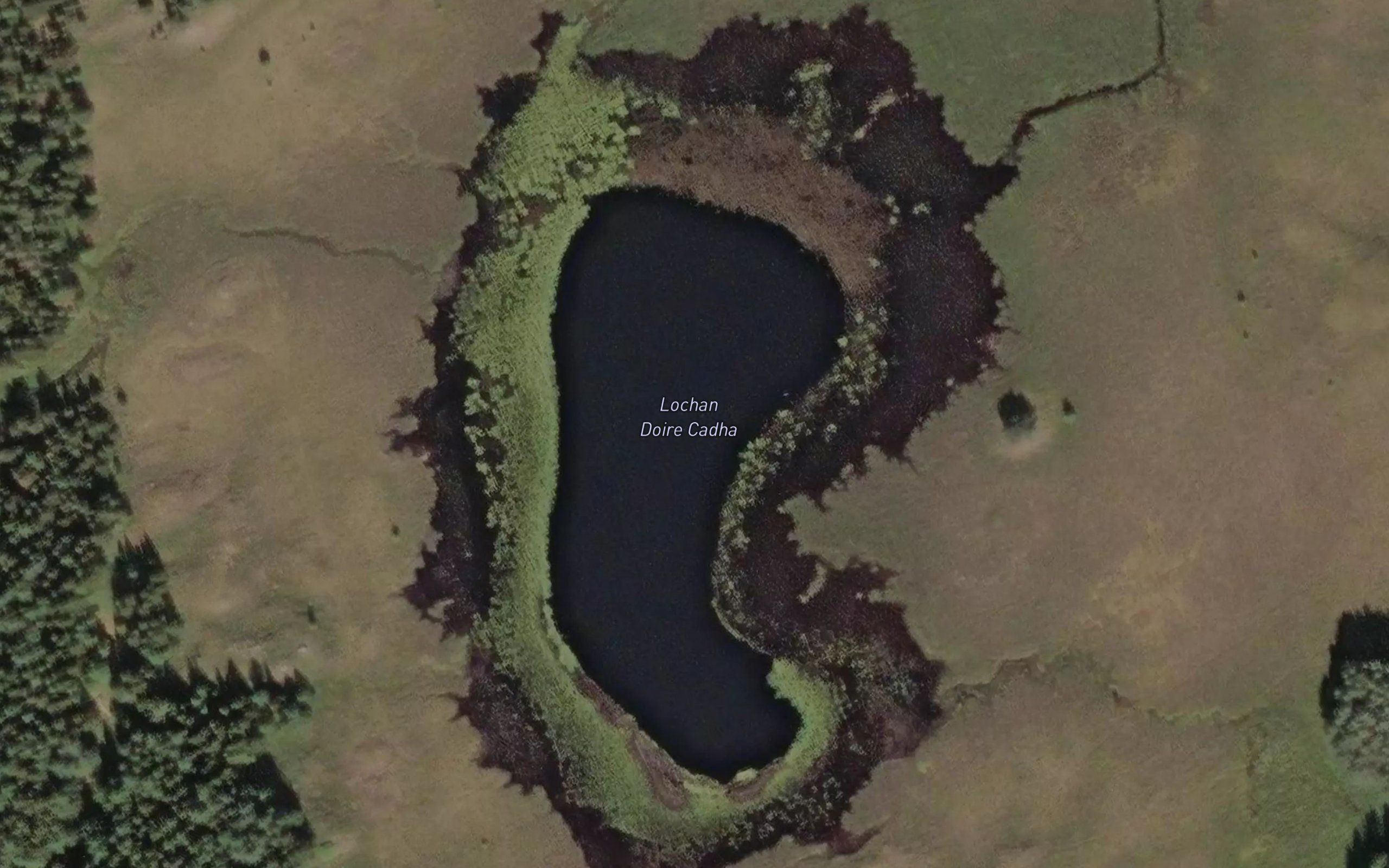 Lochan Doire Cadha