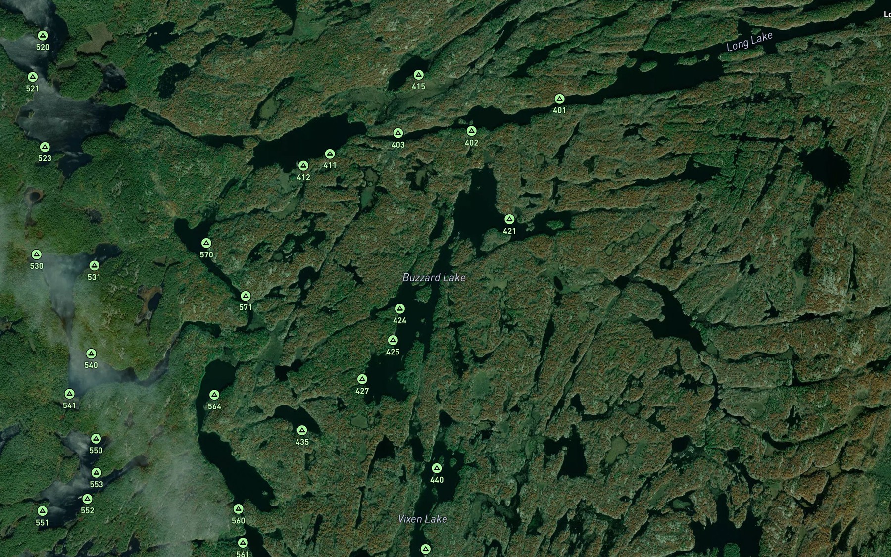 Satellite map of the Buzzard Lake