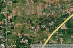 Nauranga Four Left Distributary