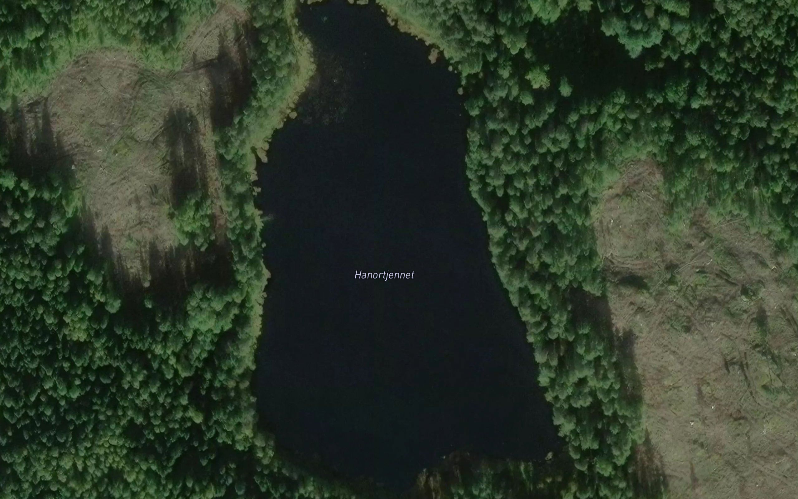 Hanortjennet