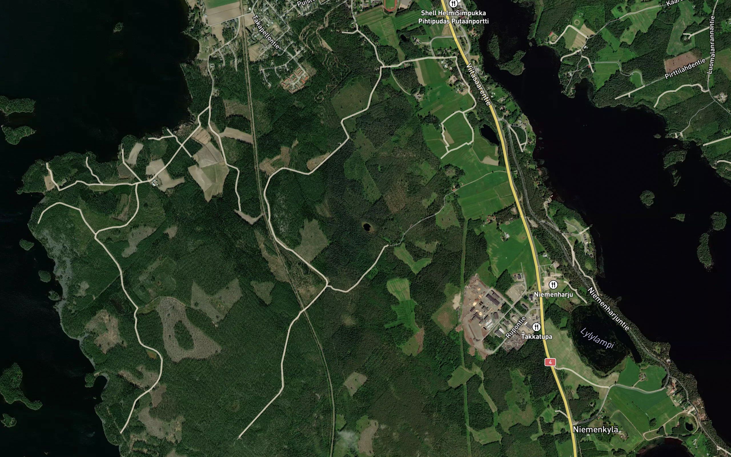 Sarvilampi