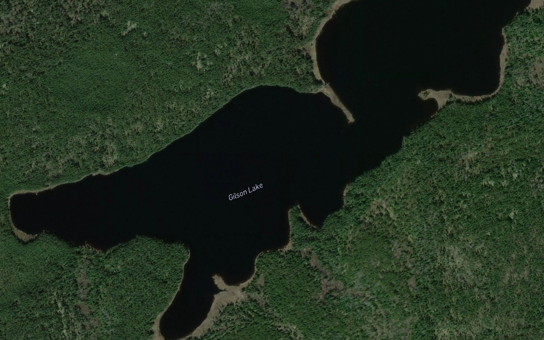 Satellite map of the Gilson Lake