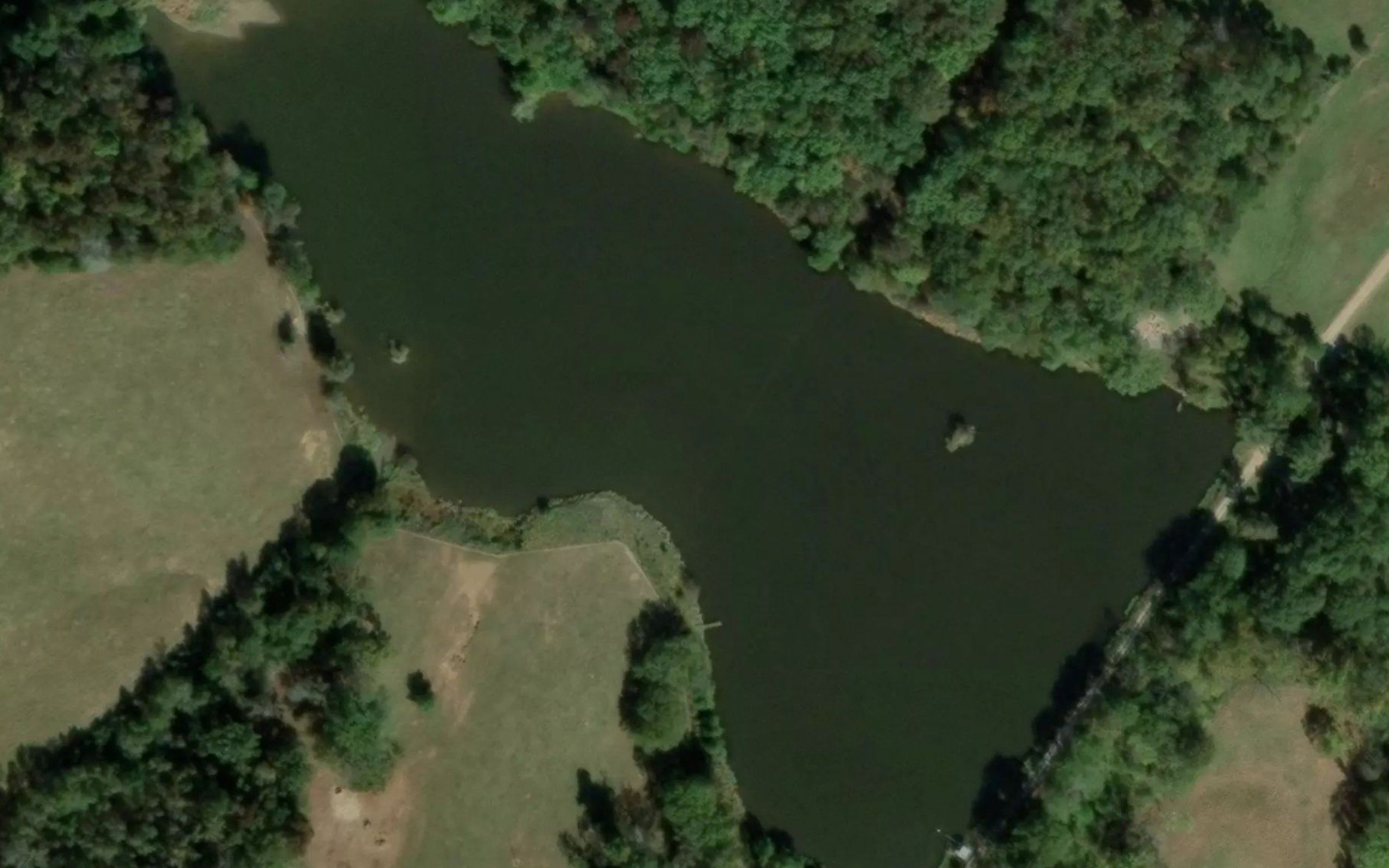 University of Georgia Farm Lake