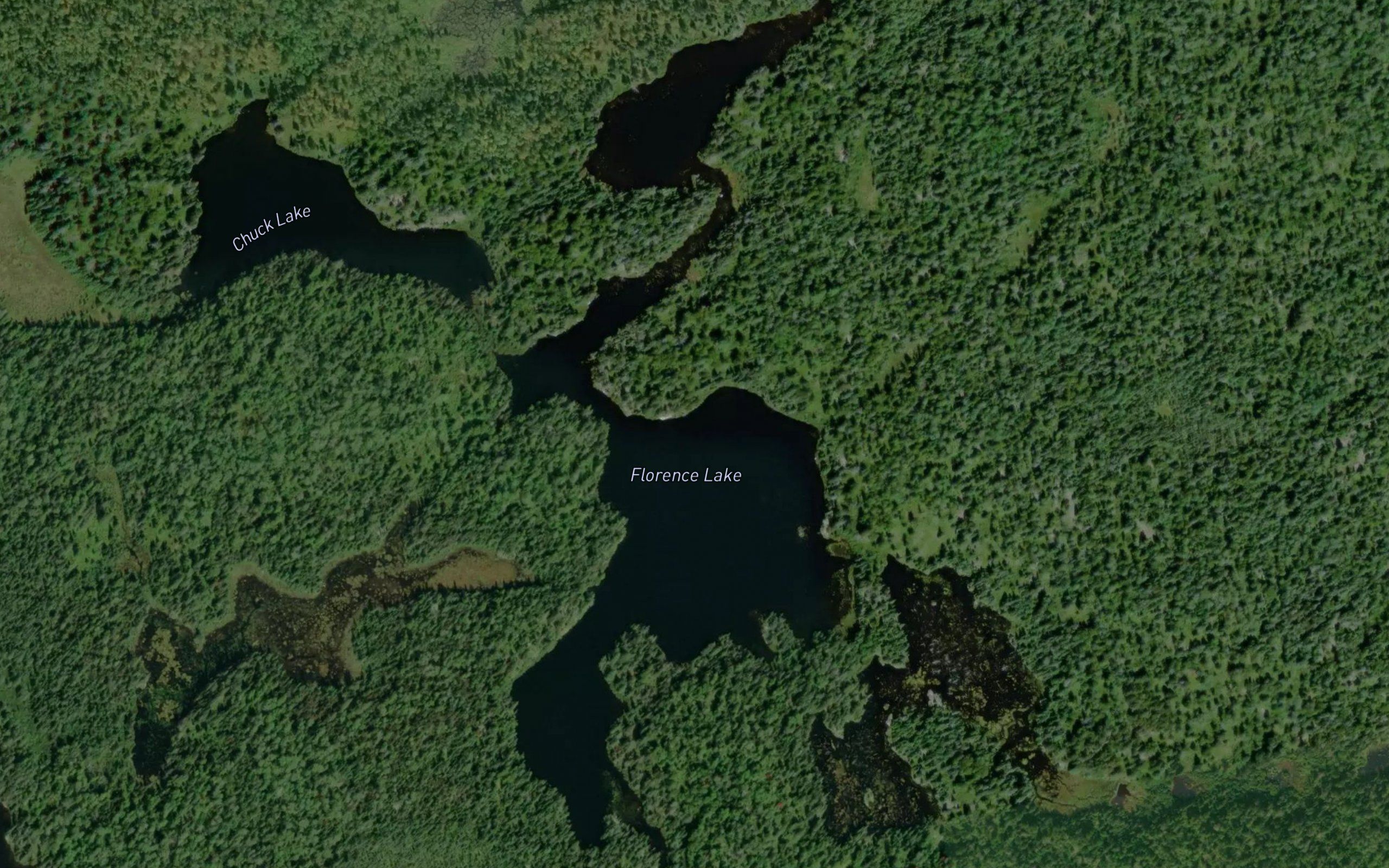 Florence Lake