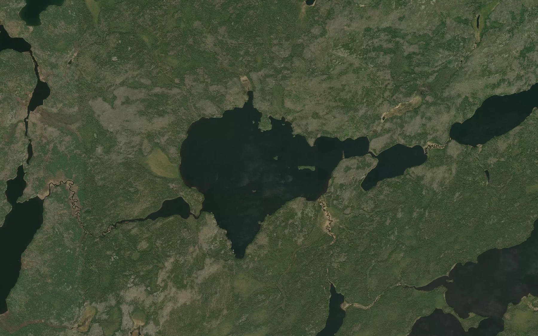 Satellite map of the Murfitt Lake
