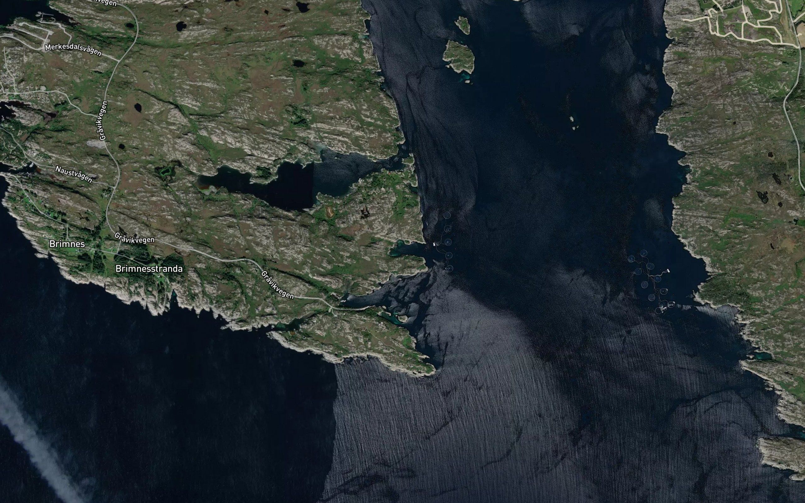 Bukkevika