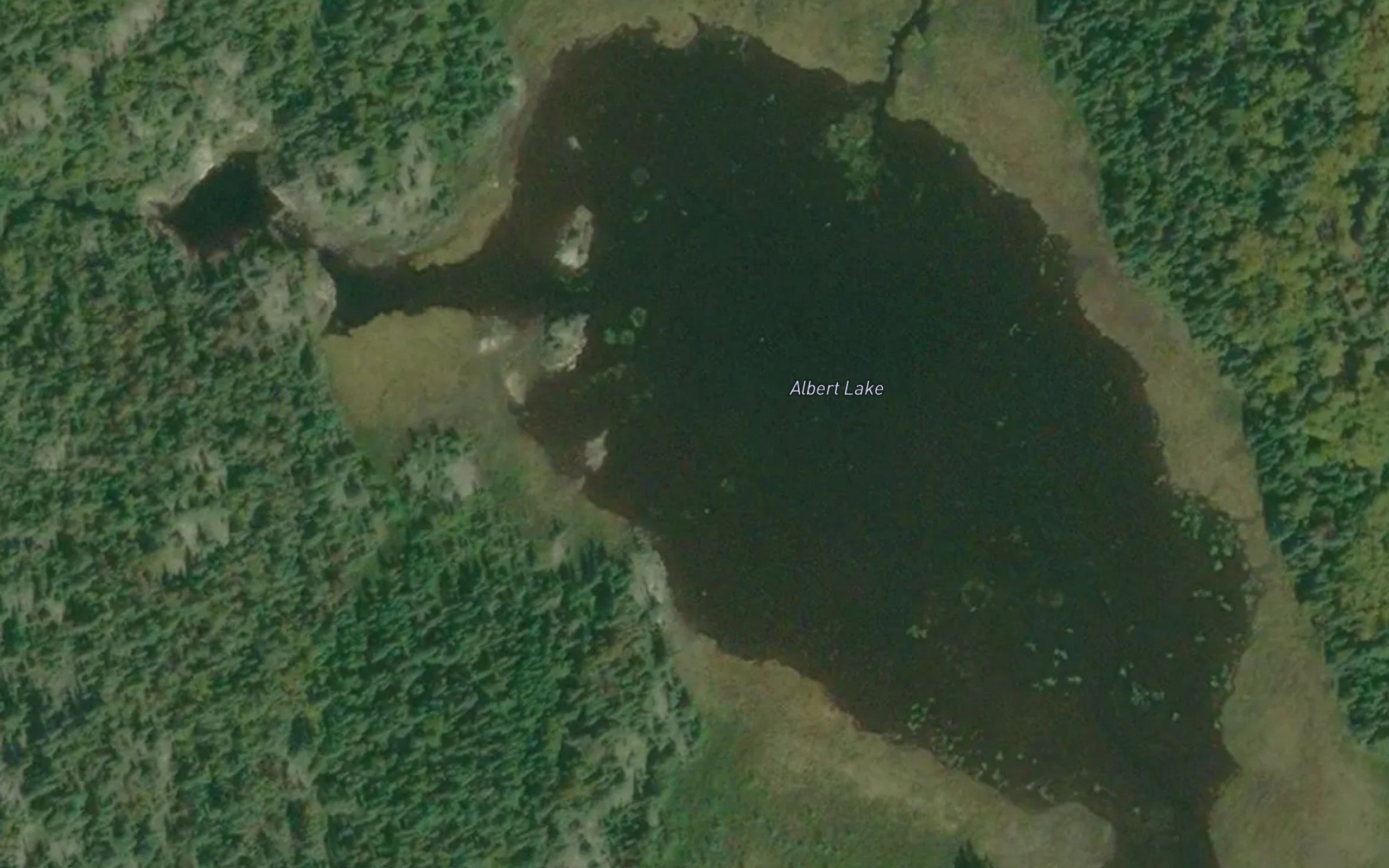 Albert Lake