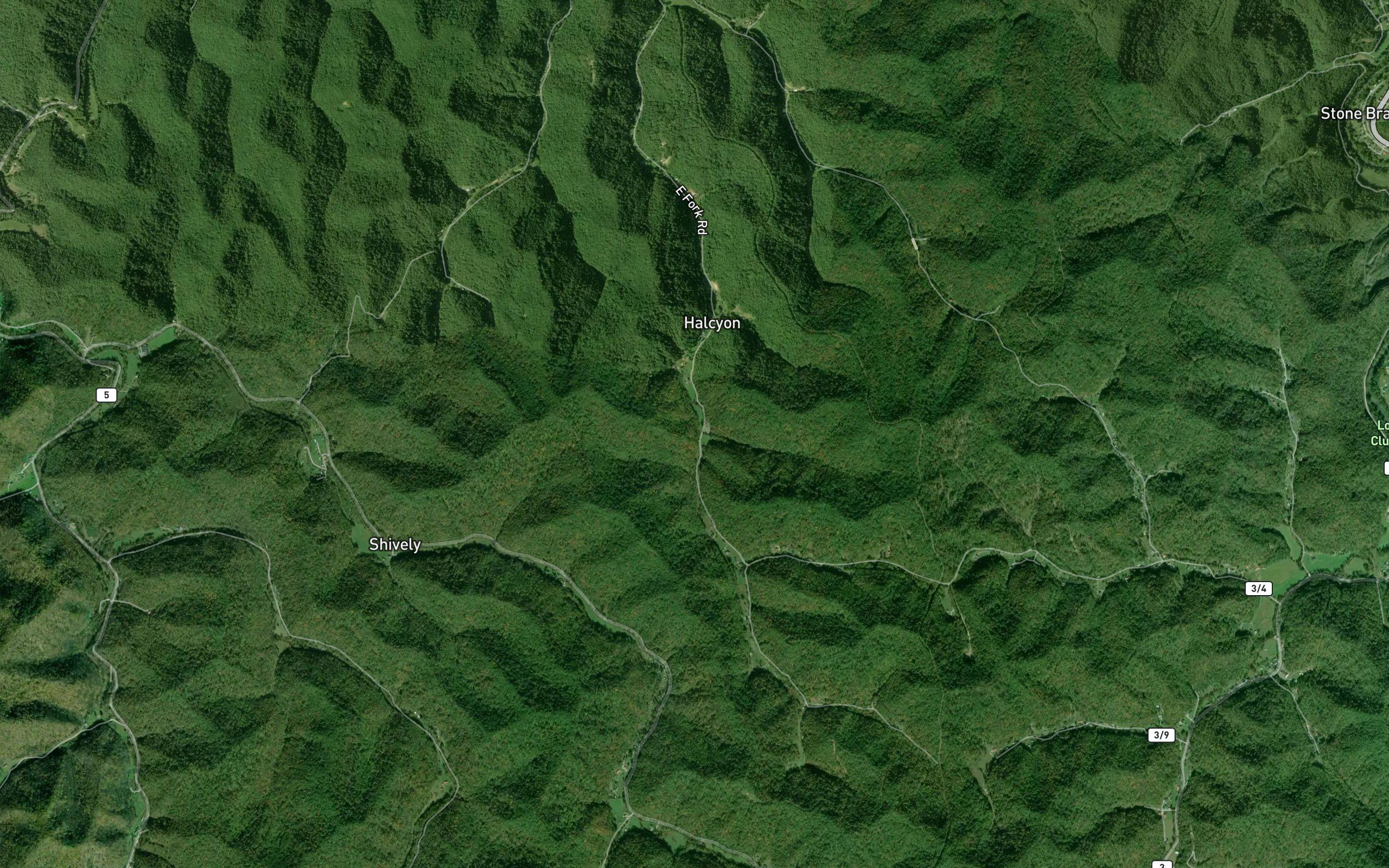 Brushy Fork