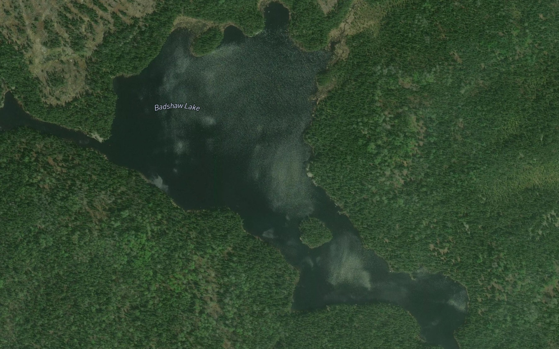 Satellite map of the Badshaw Lake