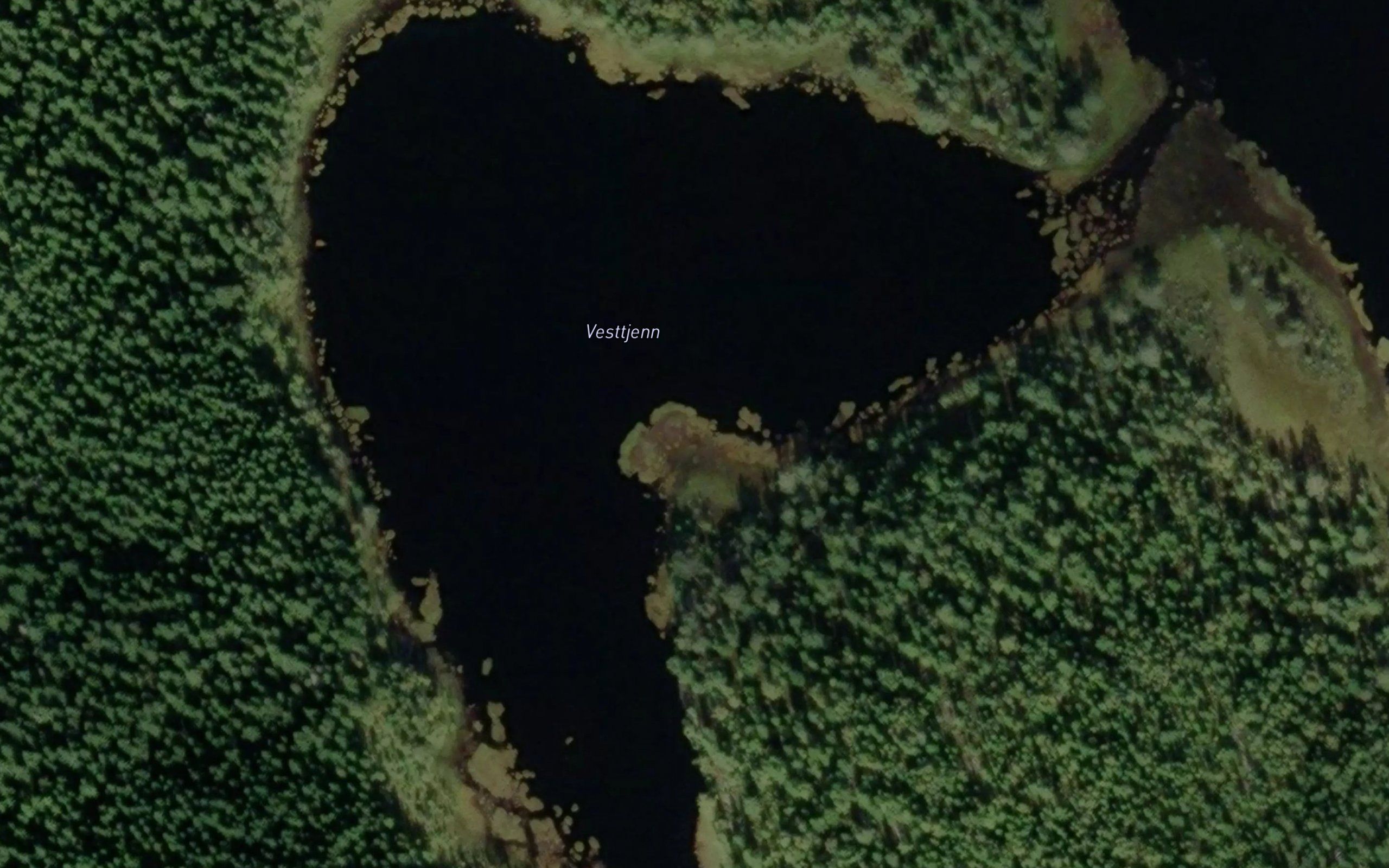 Vesttjern