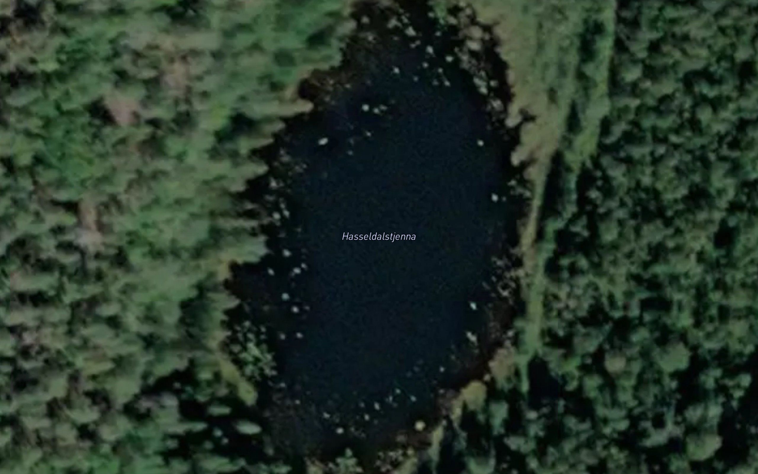 Hasseldalstjenna