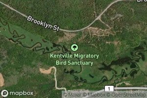 Porter Brook