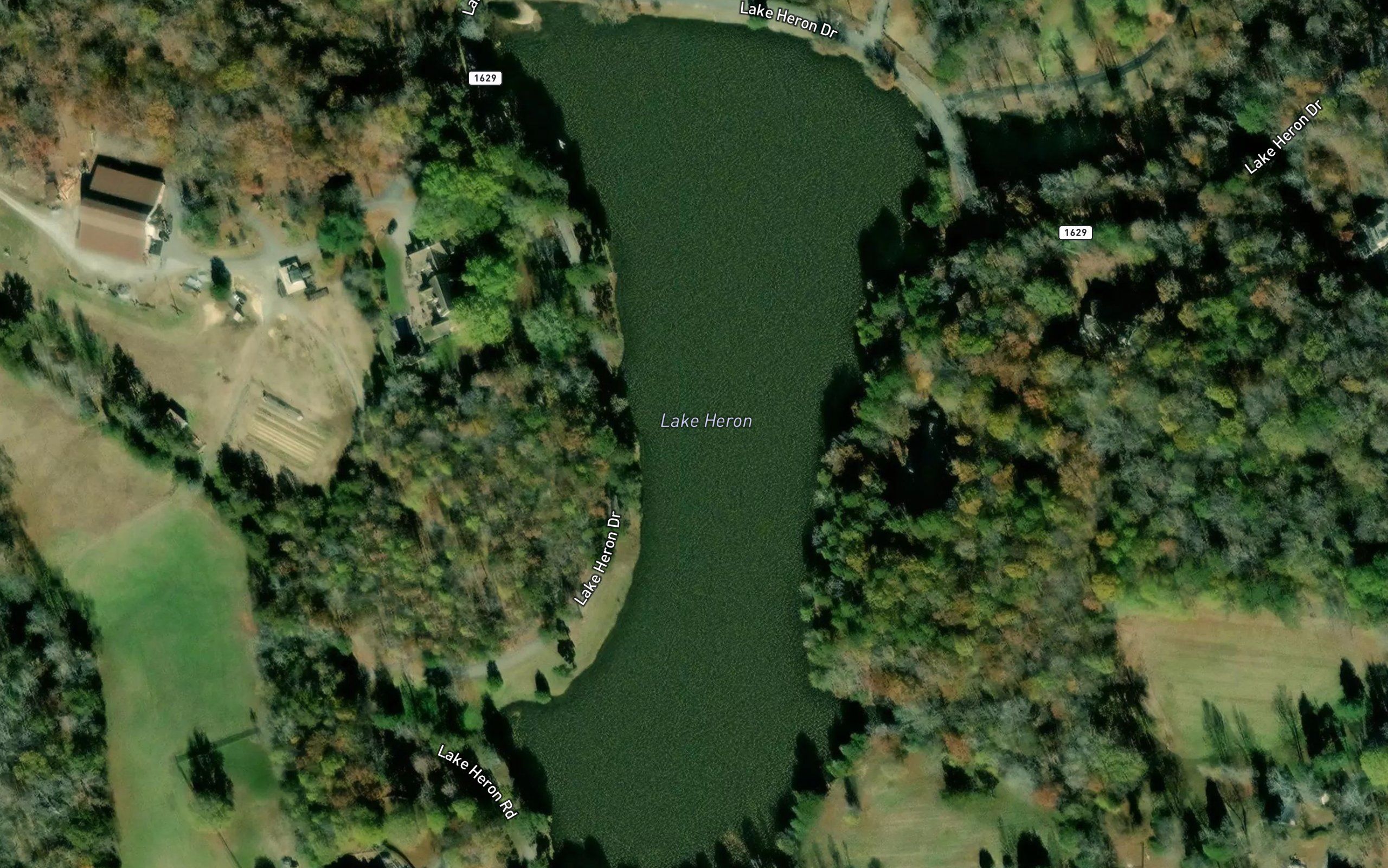 Lake Heron