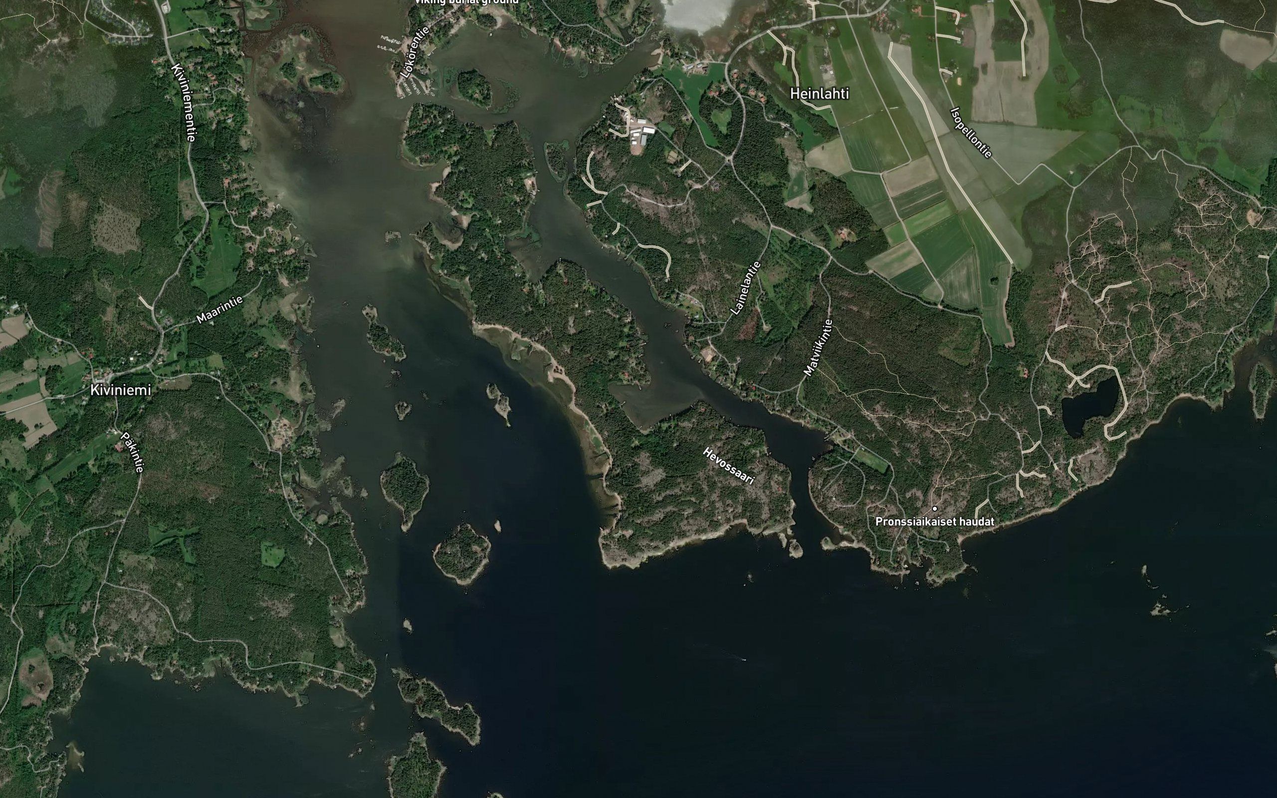 Siitviikki