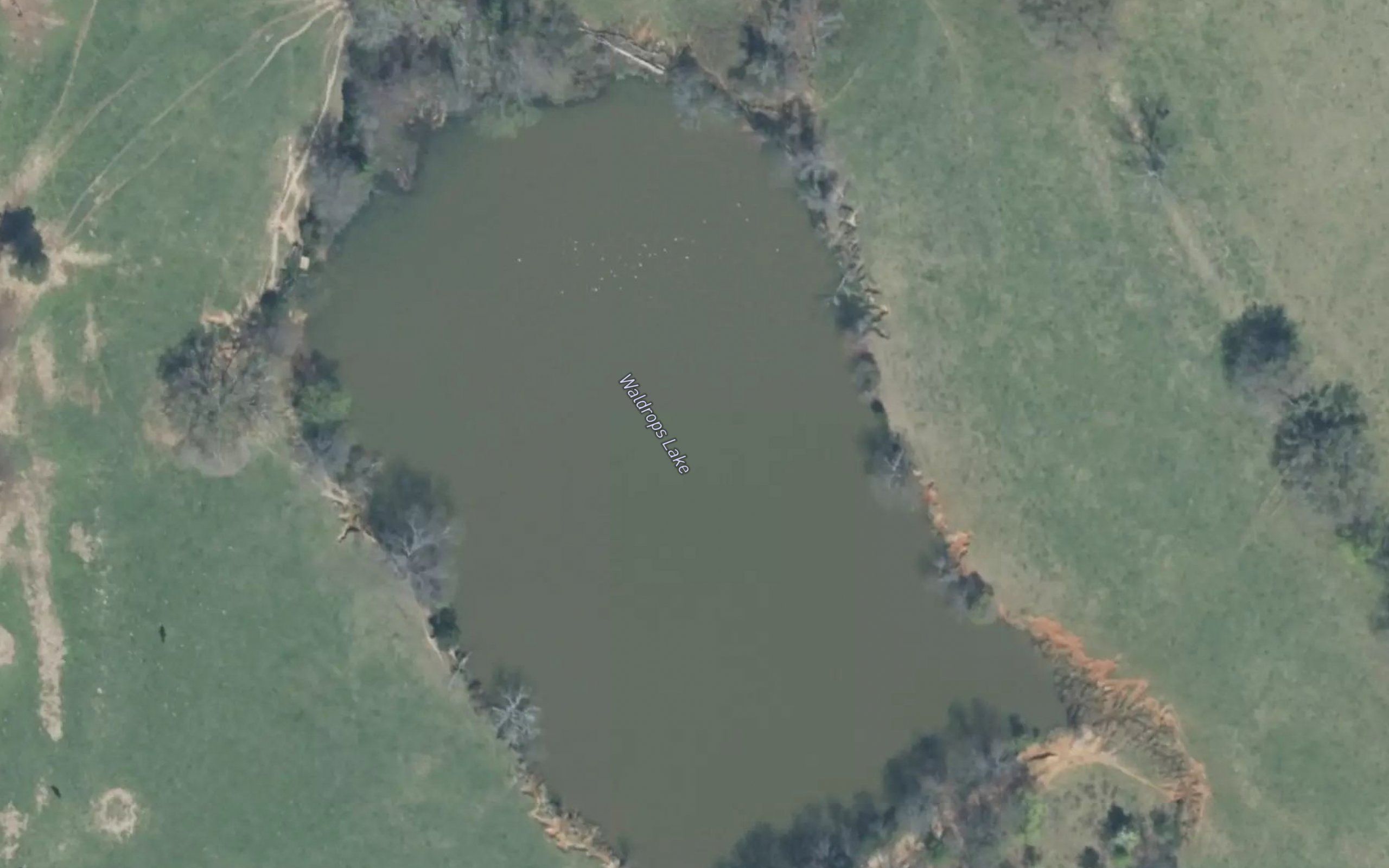 Waldrops Lake