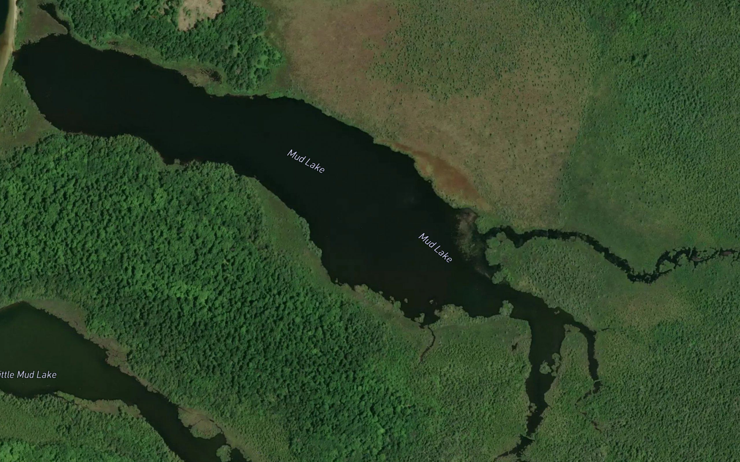Mud Lake