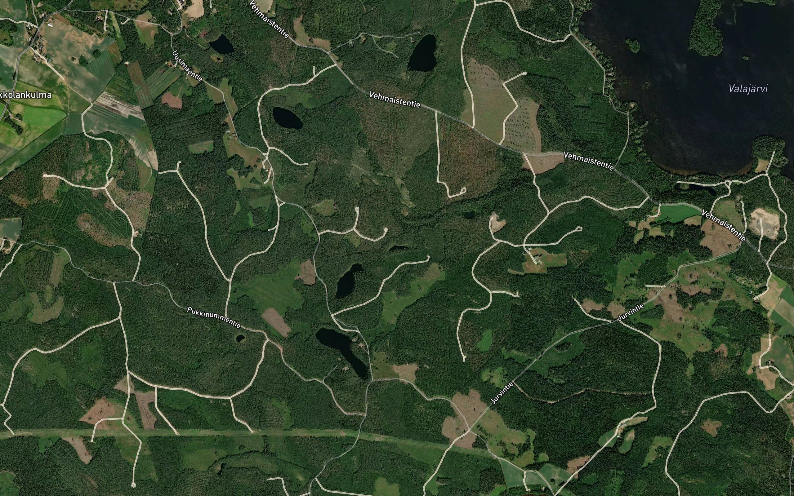 Haukilammi