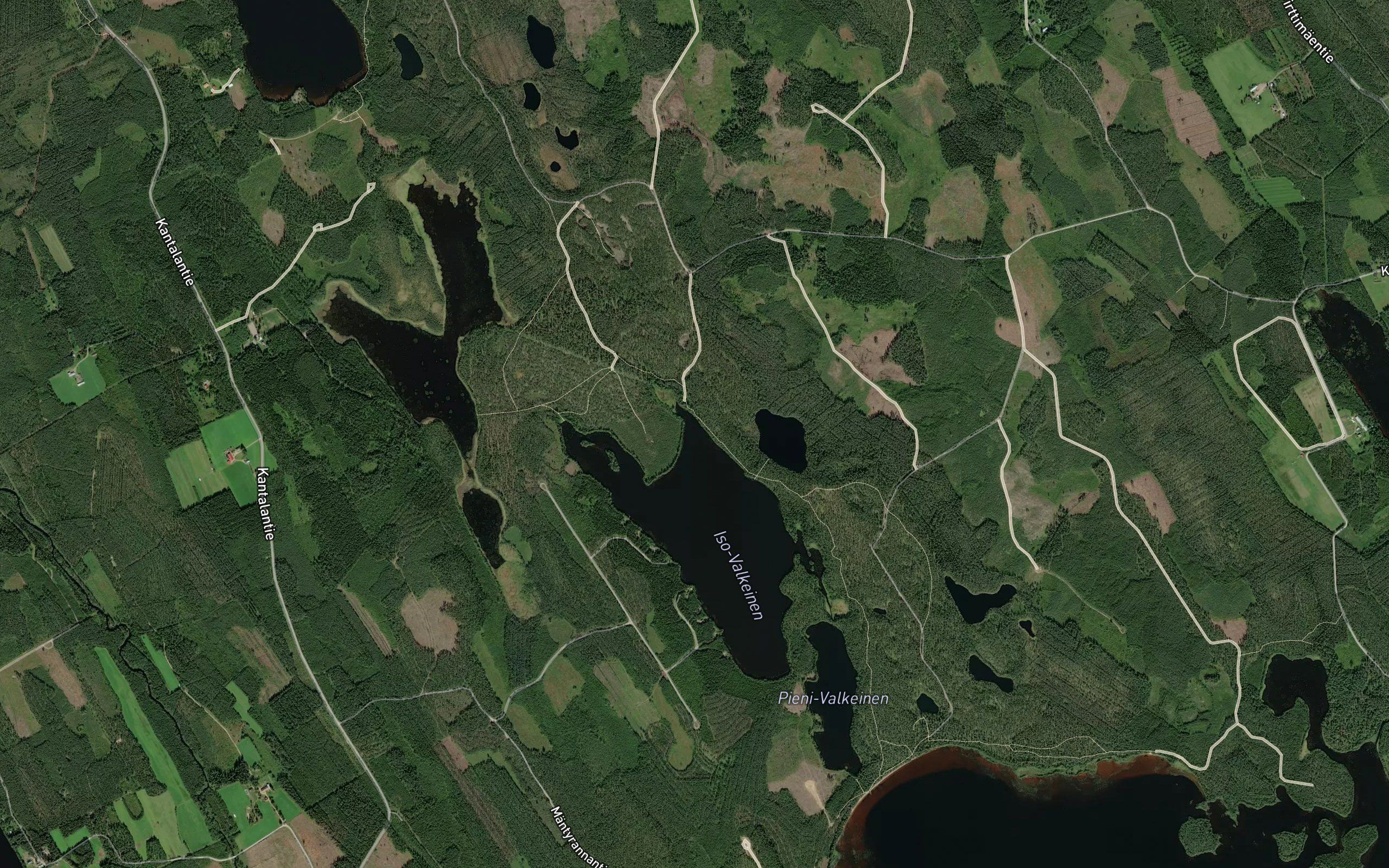 Pakanalahti