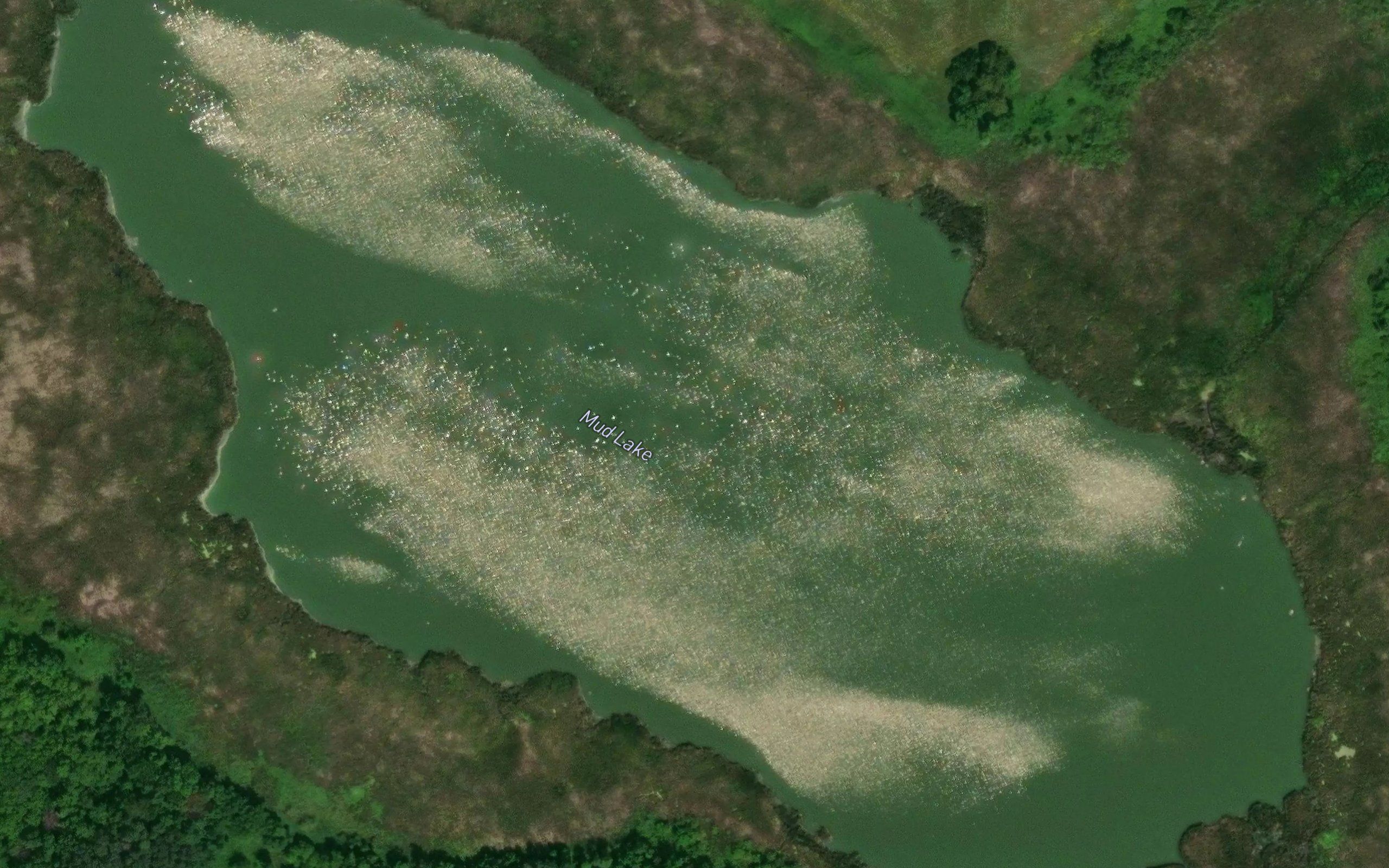 Mud Lake