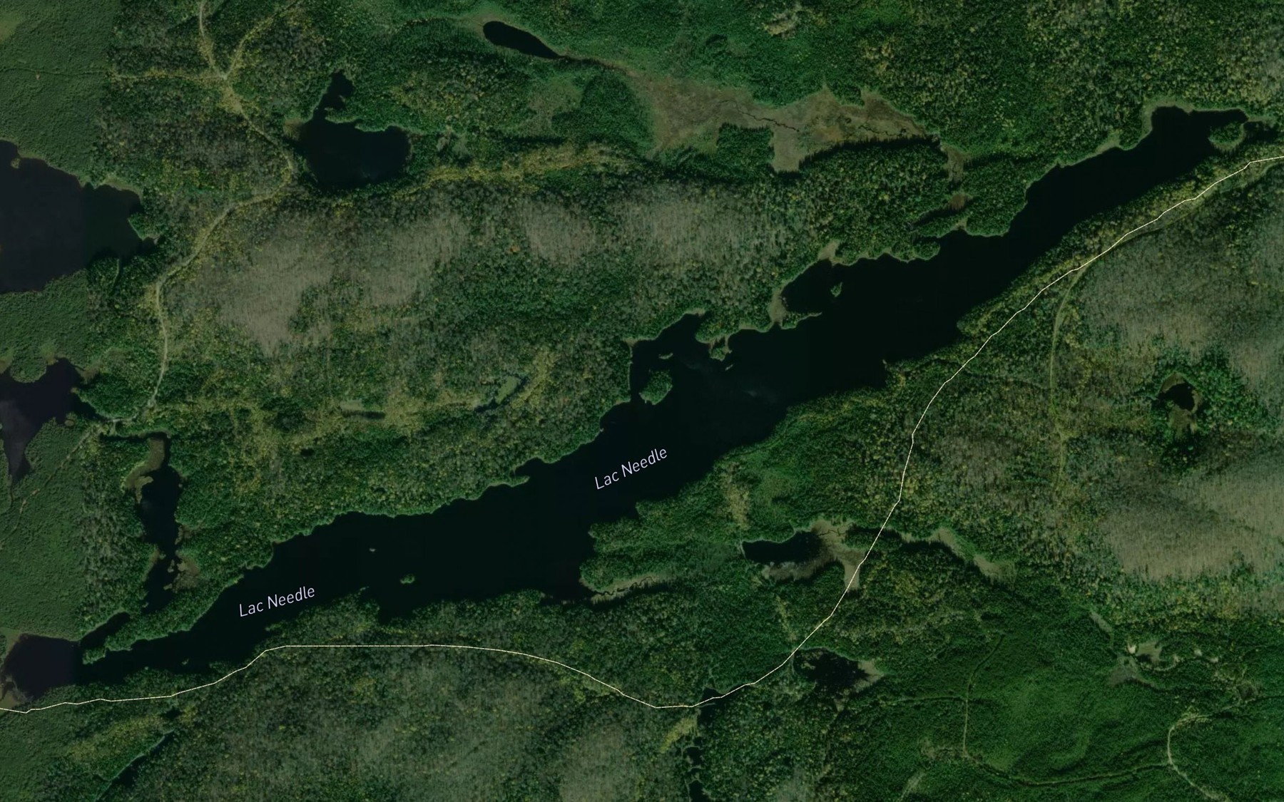Satellite map of the Lac Needle
