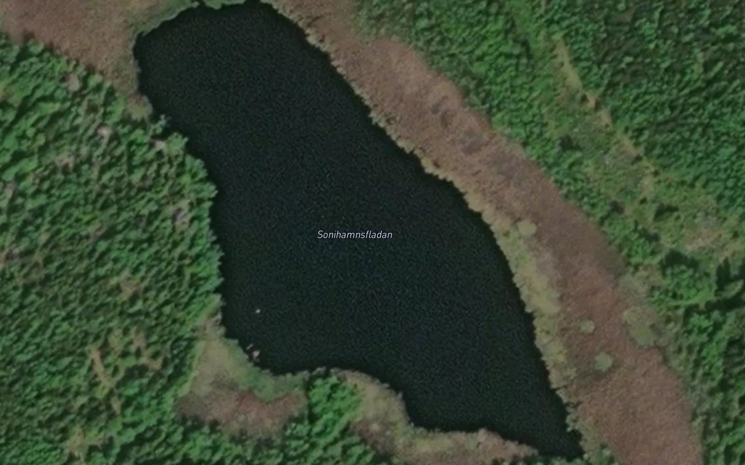 Sonihamnsfladan