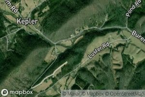 Tarpine Valley Branch