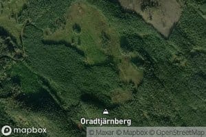 Oradtjarn