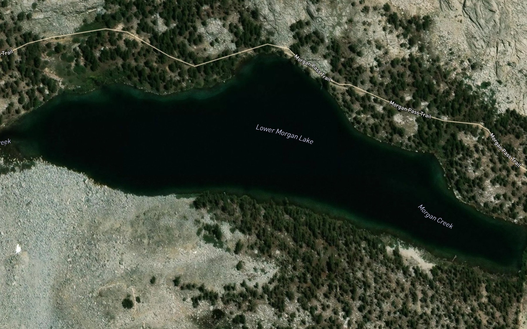 Satellite map of the Lower Morgan Lake