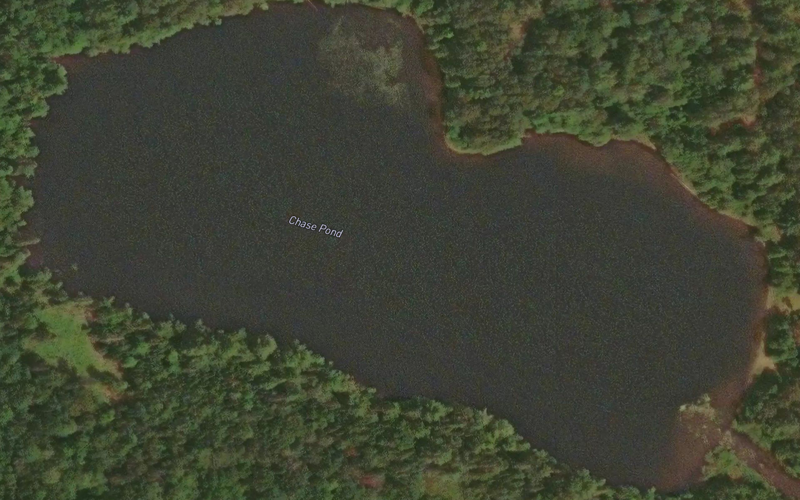 Chase Pond