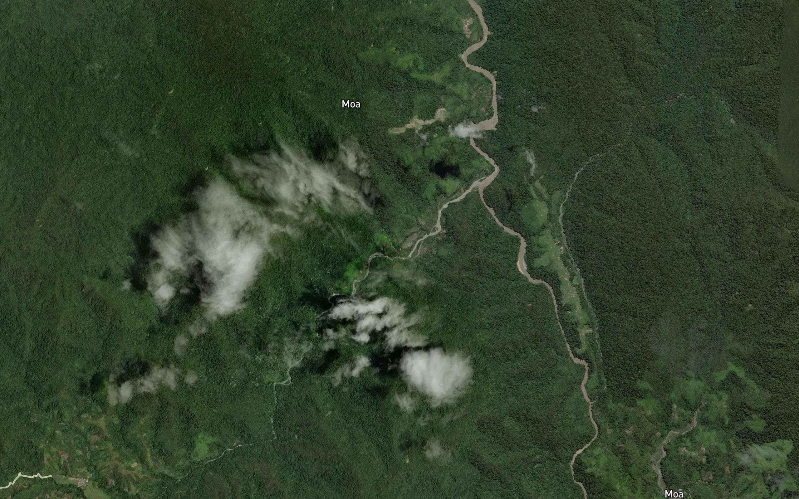 Halu Wakula