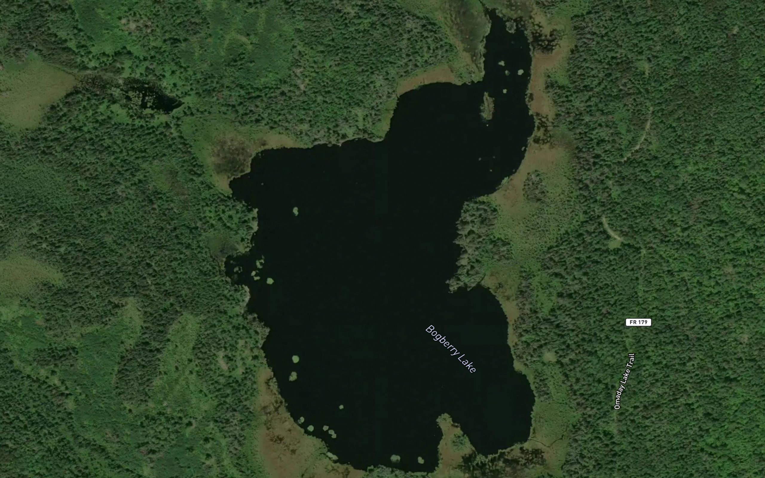 Bogberry Lake