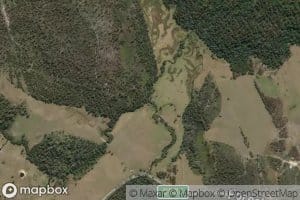 Surveyor Creek