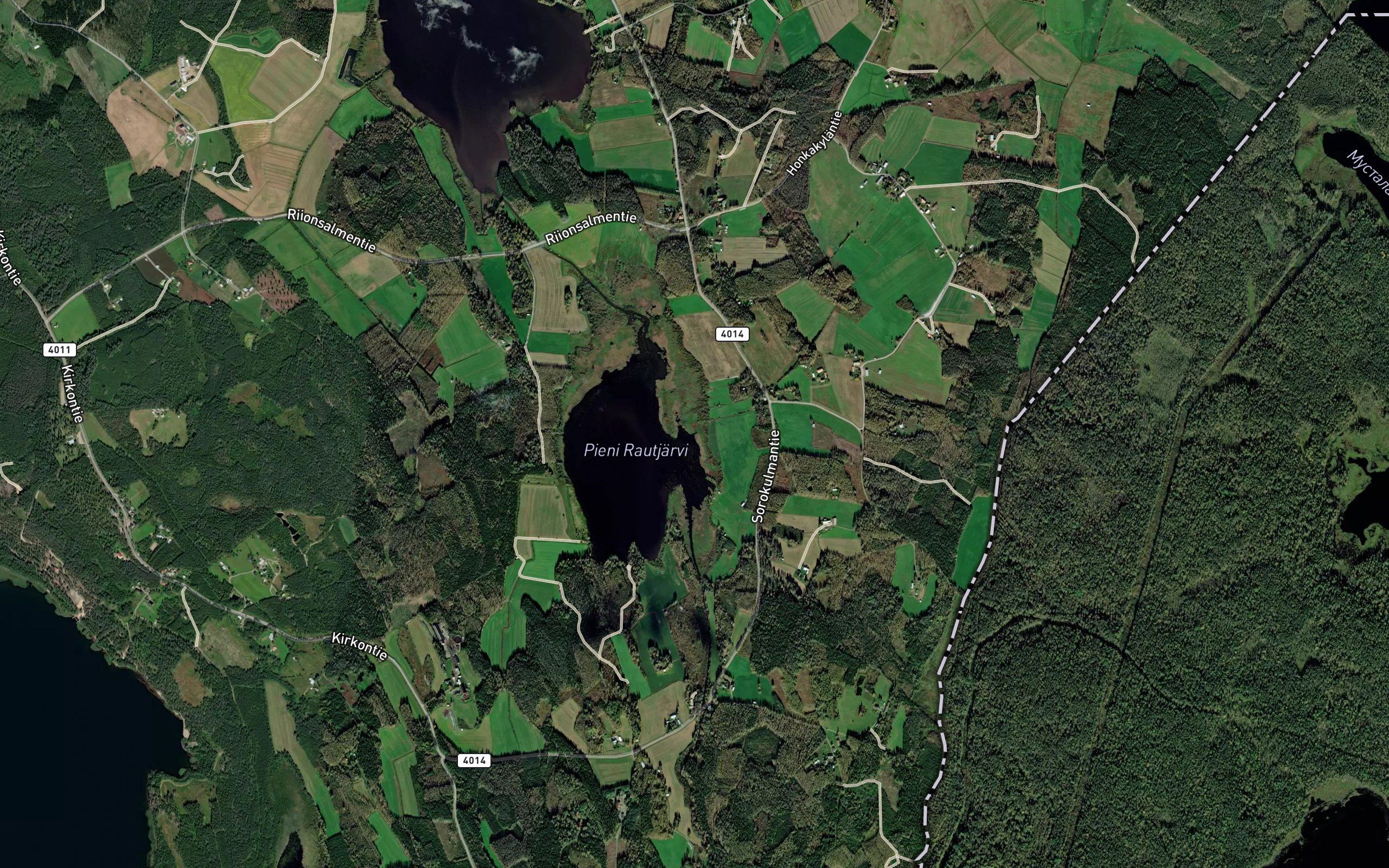 Kivikkoja
