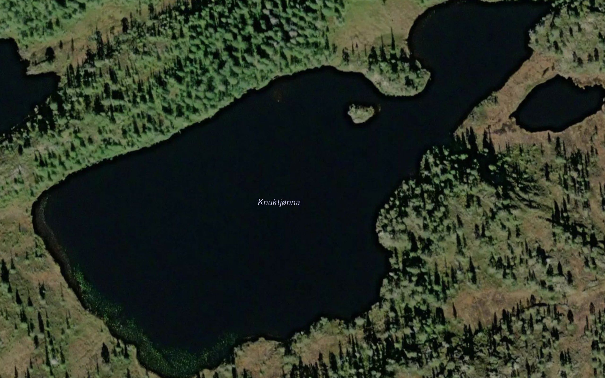 Knuktjorna