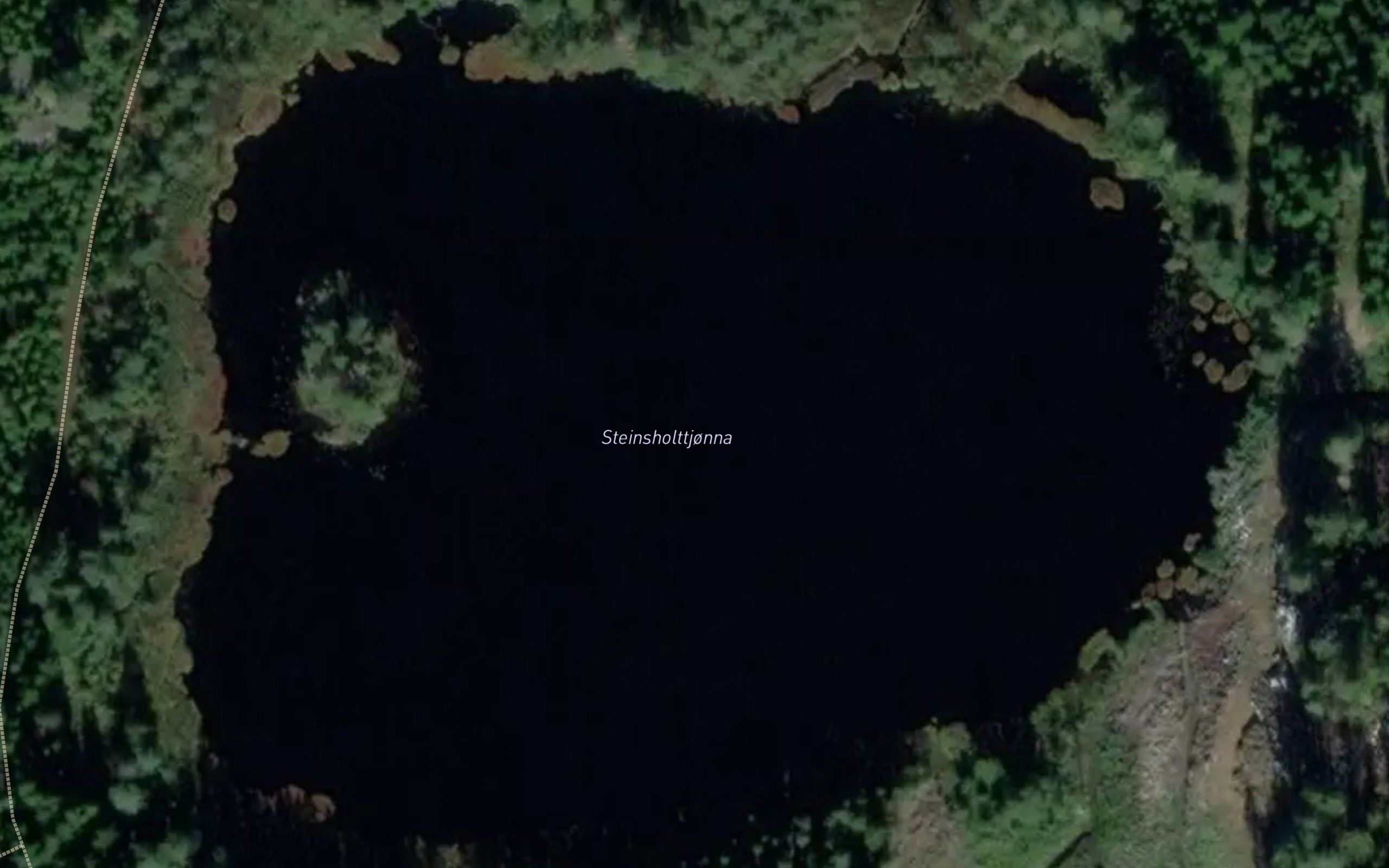 Steinsholttjernet