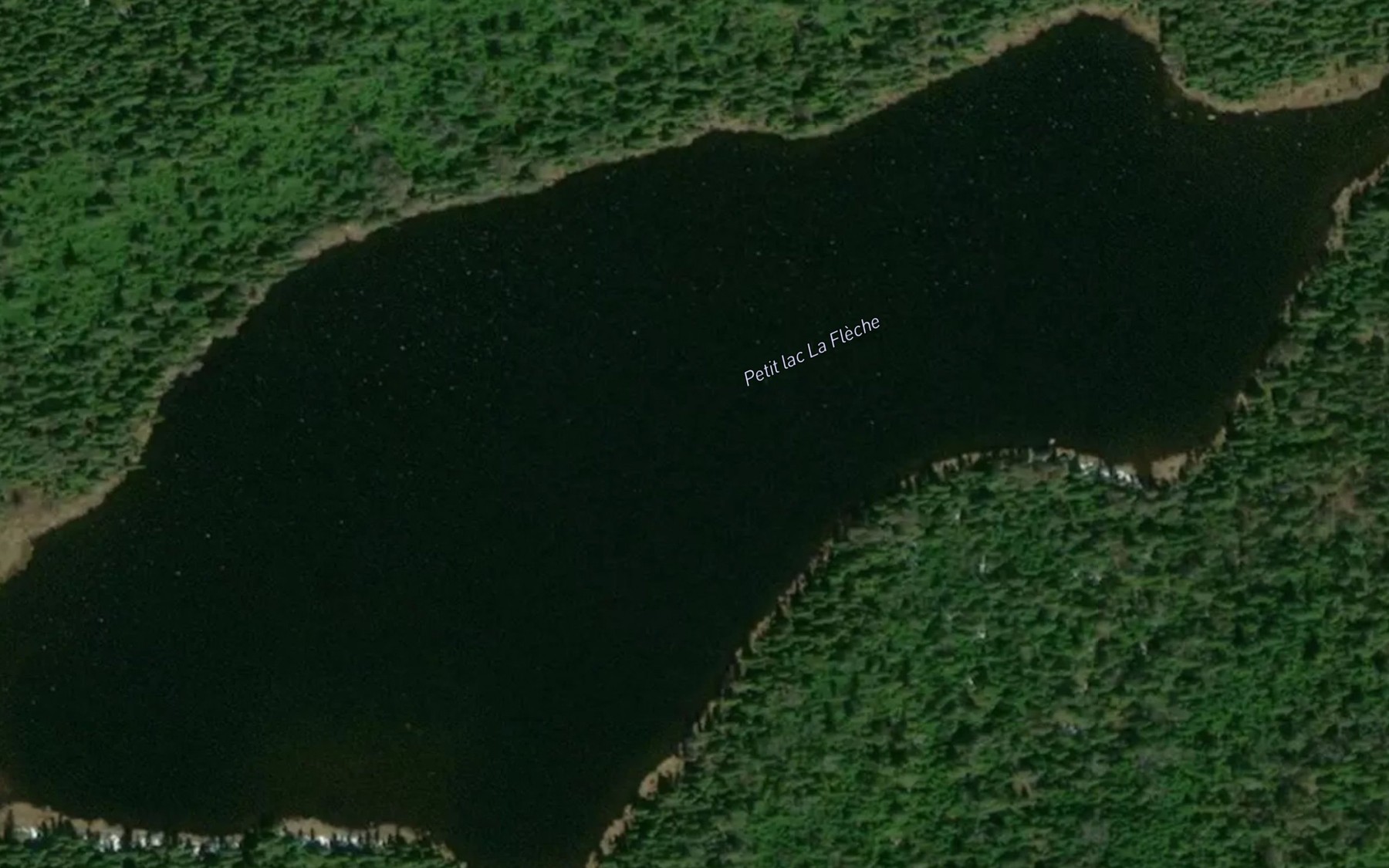 Satellite map of the Petit lac La Fleche