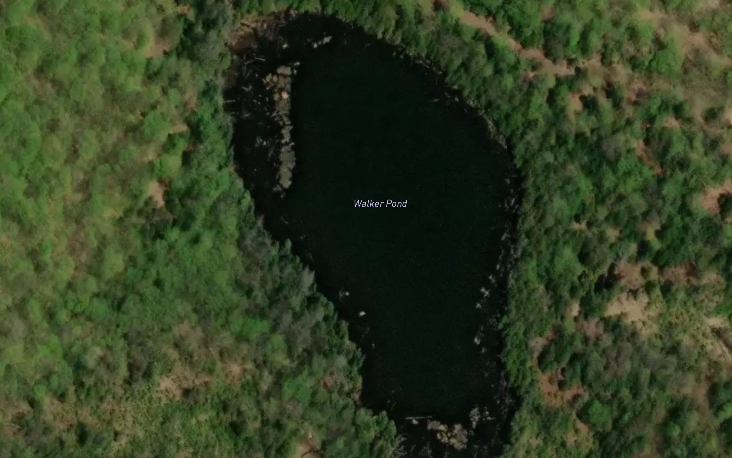 Walker Pond