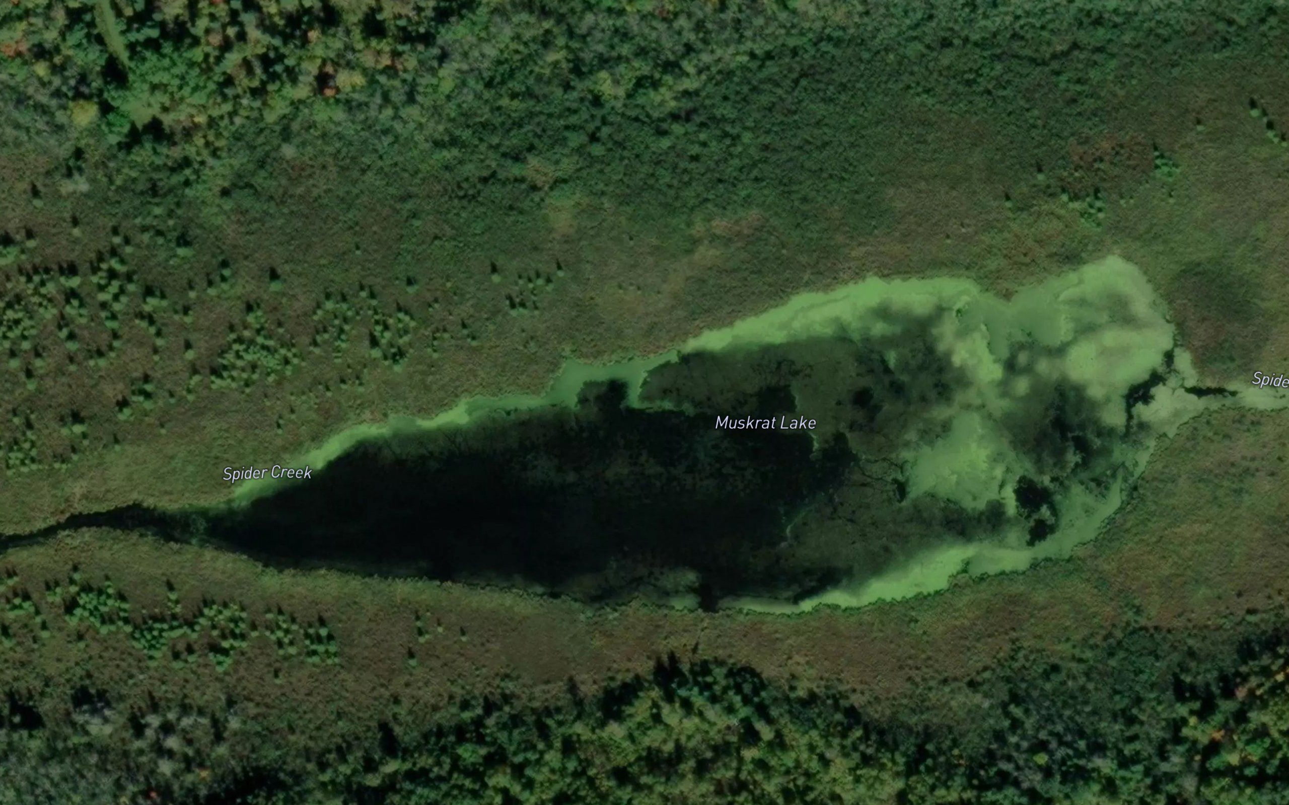 Muskrat Lake