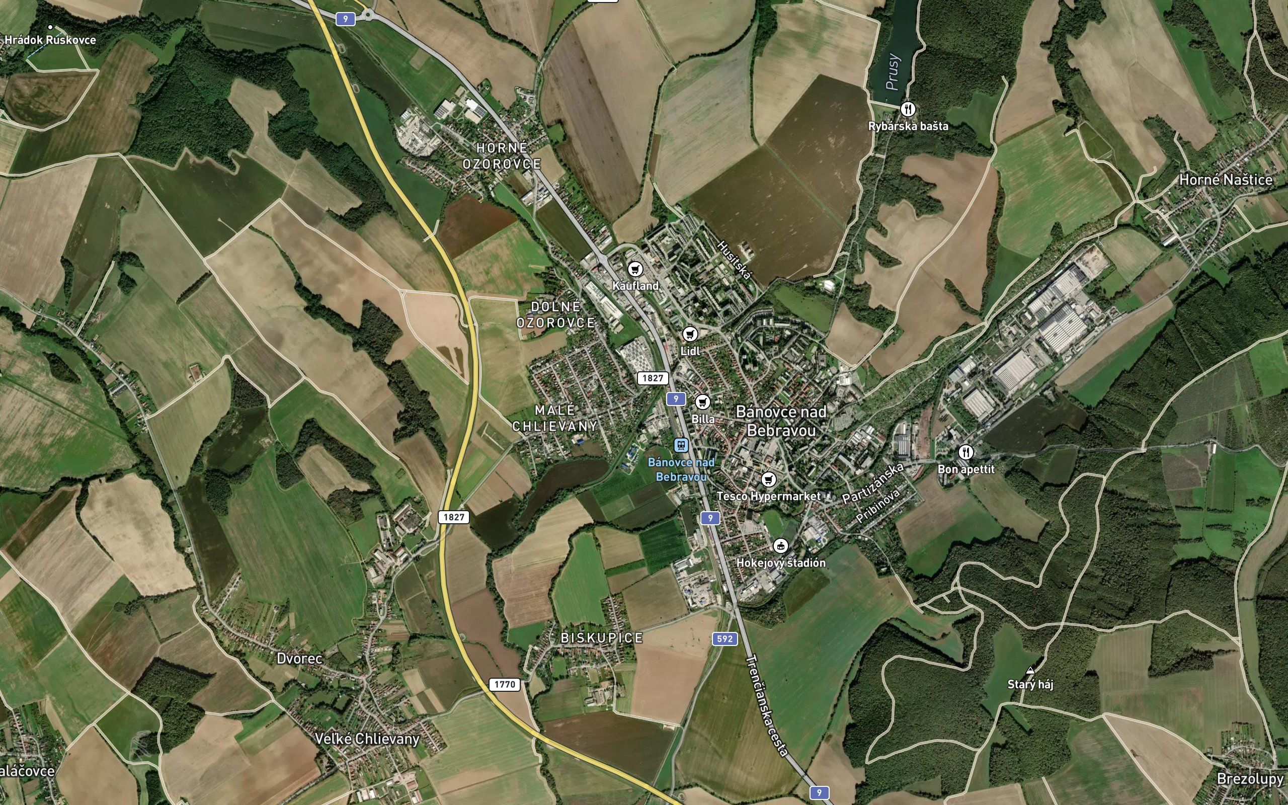 Svinnica
