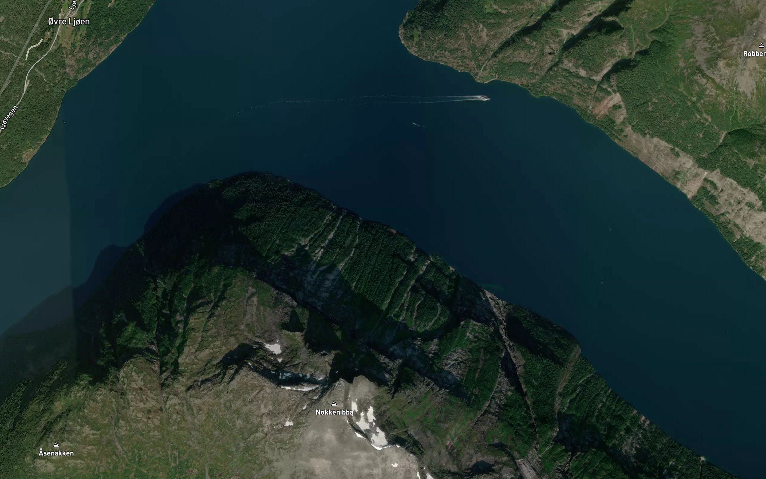 Bukkeskora