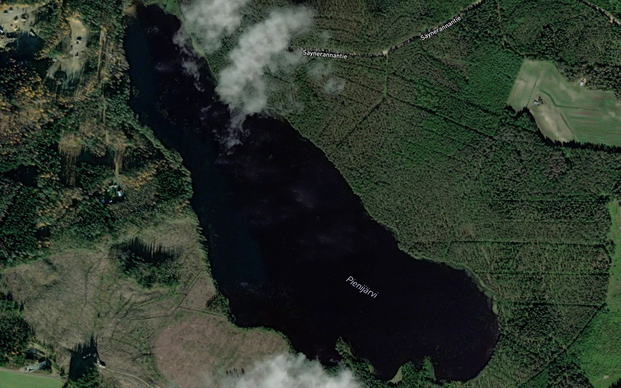 Pienijarvi