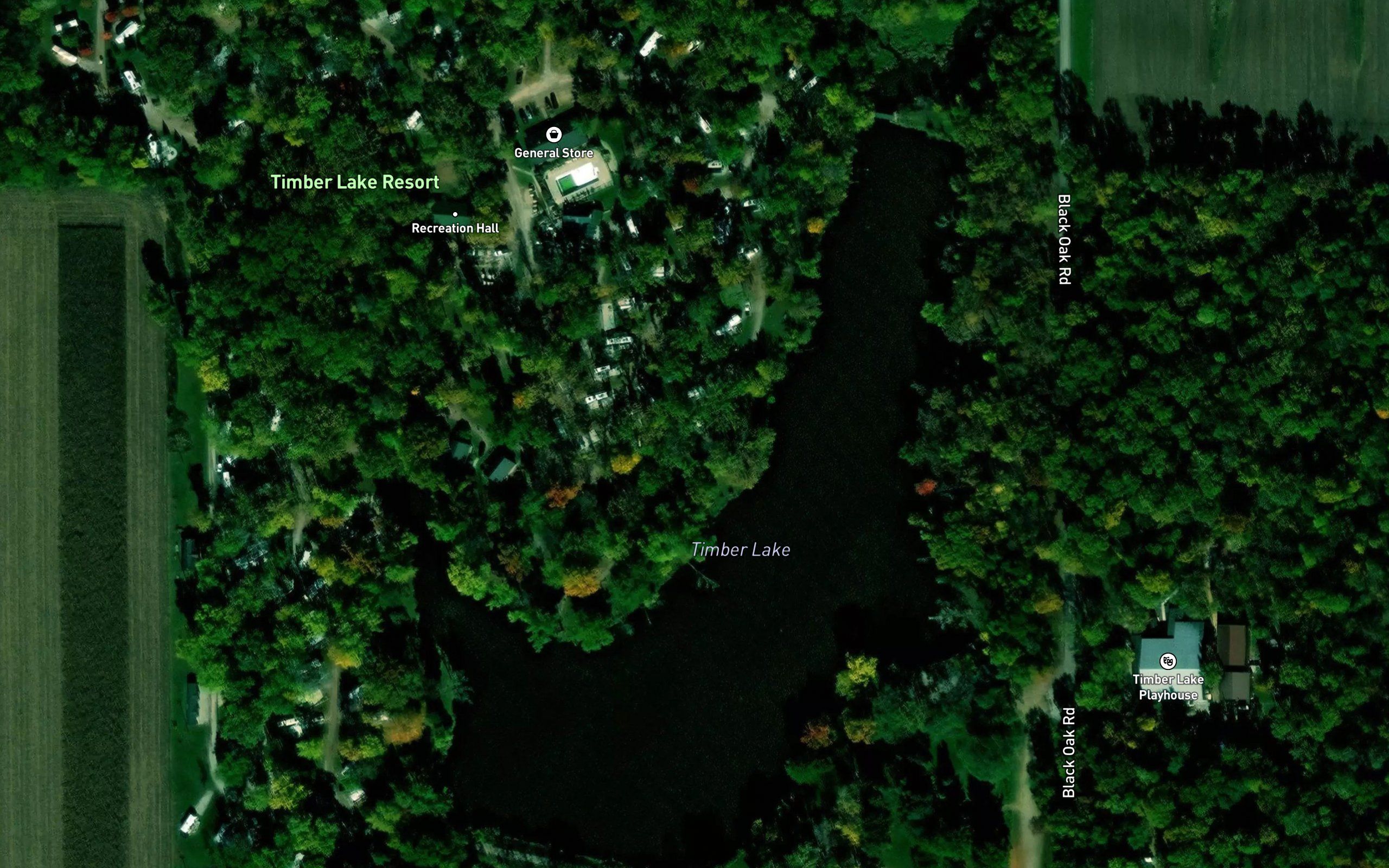 Timber Lake