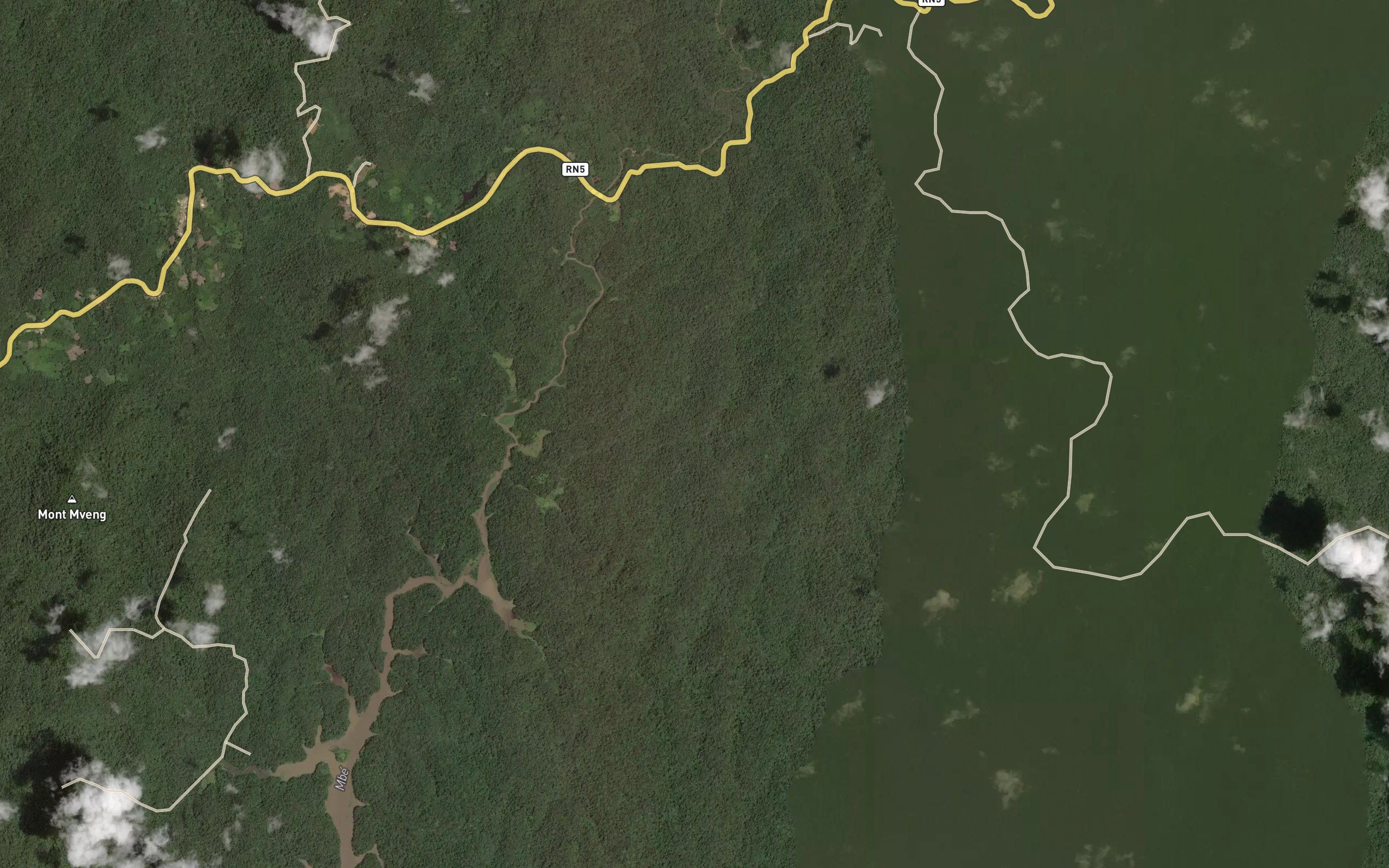 Mfogo