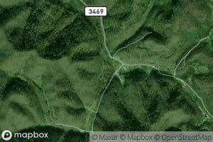 Saplings Fork