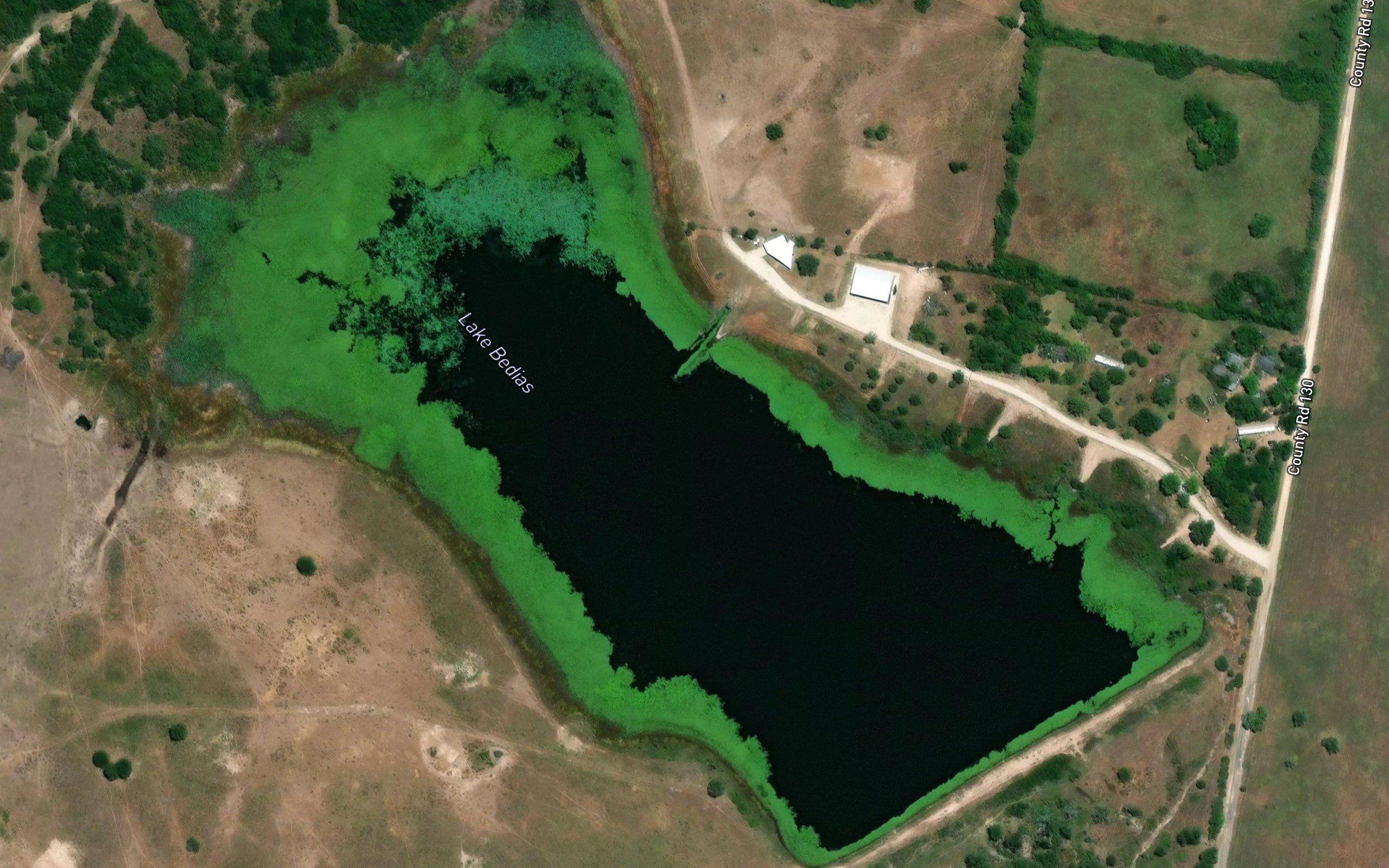 Lake Bedias