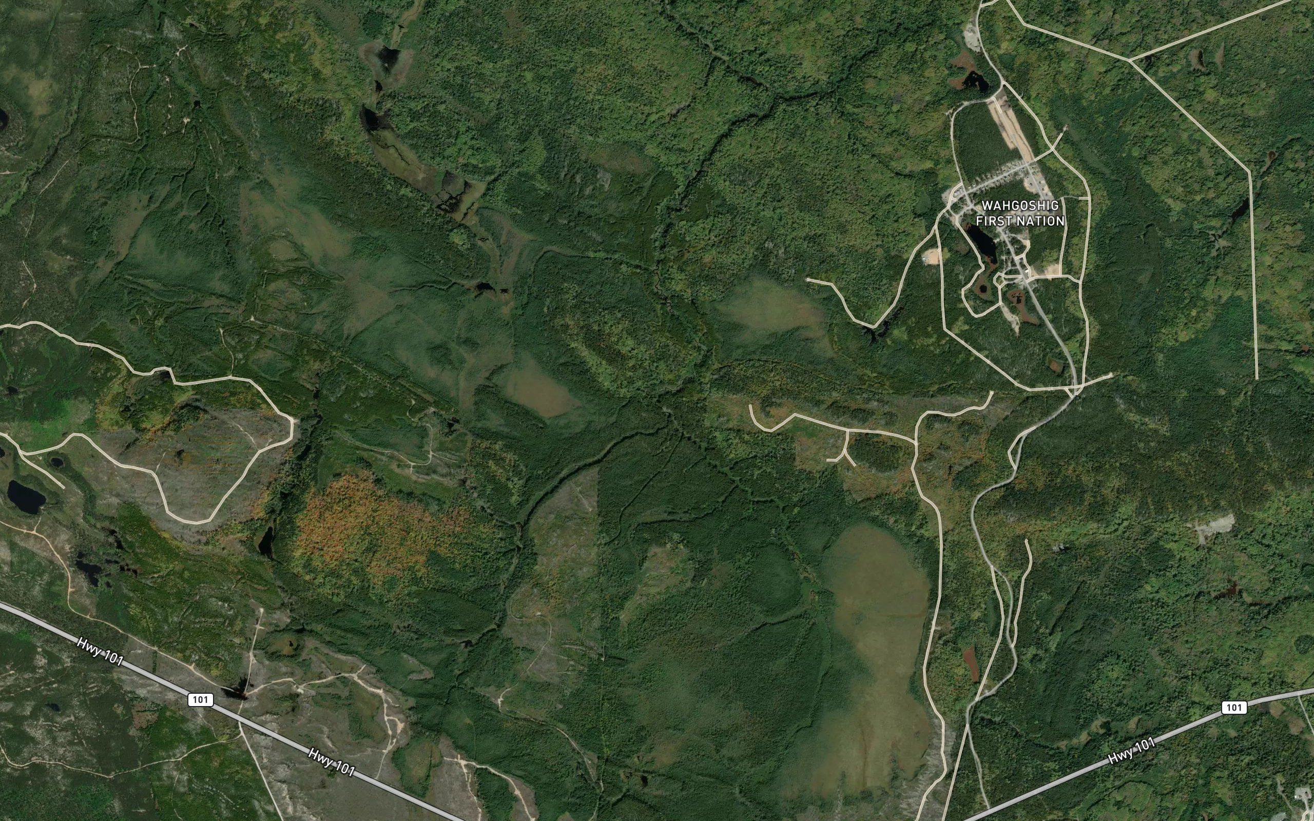 Tanager Creek
